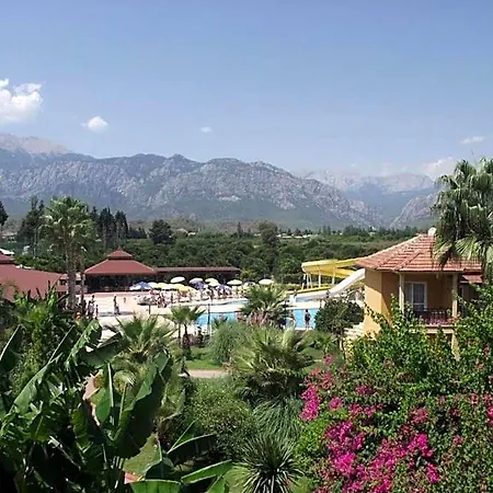 Mir'amor Garden تيكيروفا